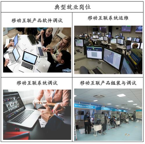 湖南商務(wù)職業(yè)技術(shù)學(xué)院 商務(wù)信息技術(shù)學(xué)院移動(dòng)互聯(lián)應(yīng)用技術(shù)專業(yè)設(shè)置與信息技術(shù)咨詢服務(wù)